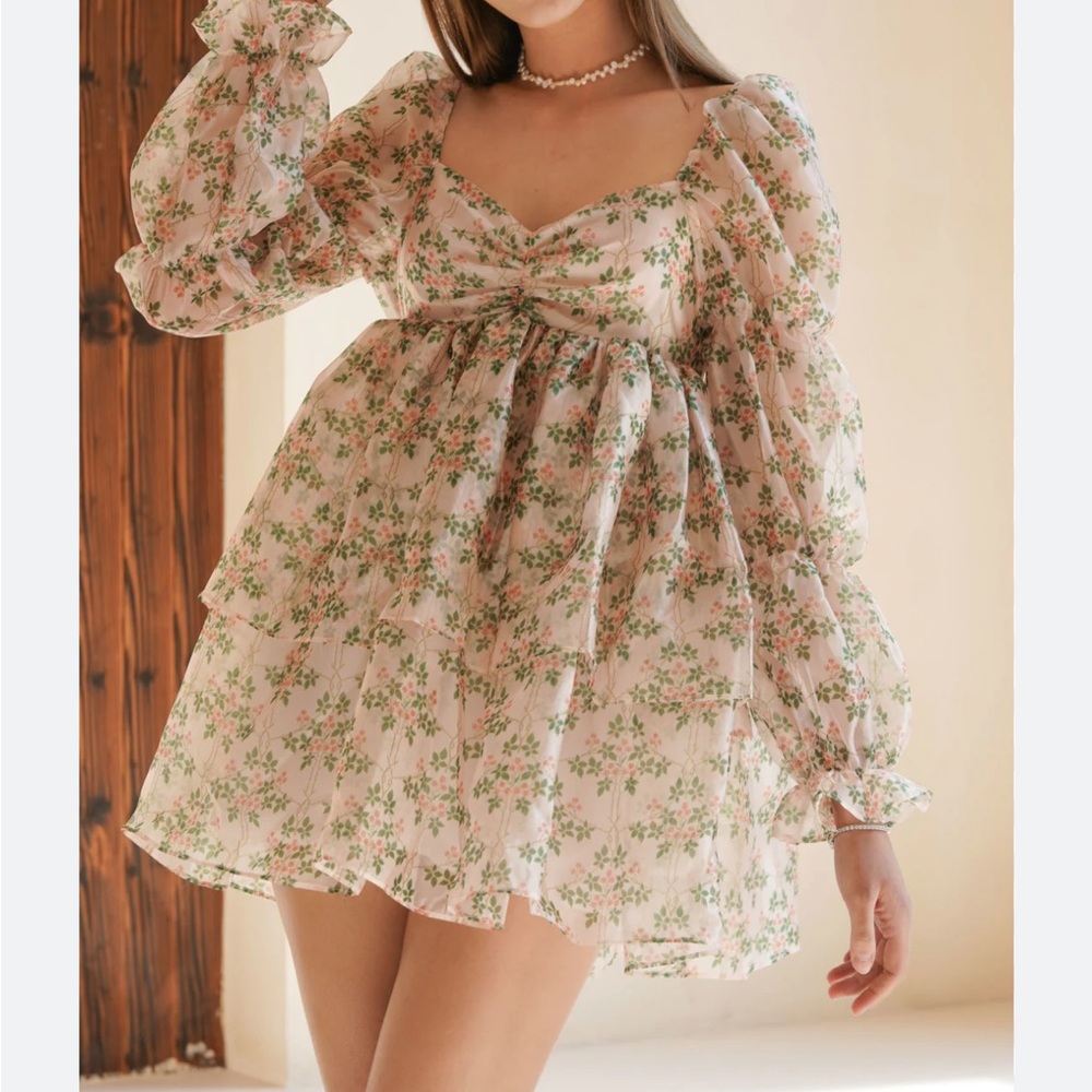 Uuniq Daisyland Long Sleeve Floral Mini Organza Dress - Picture 8 of 8
